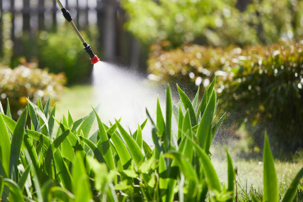 24/7 Emergency Mosquito Control experts in Kinder, LA
