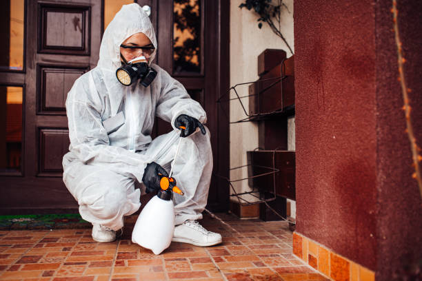 Reliable Mosquito Control contractor in Kinder, LA by Show Me Pest Control